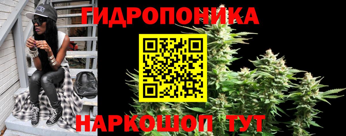 Шишки марихуана план Бор
